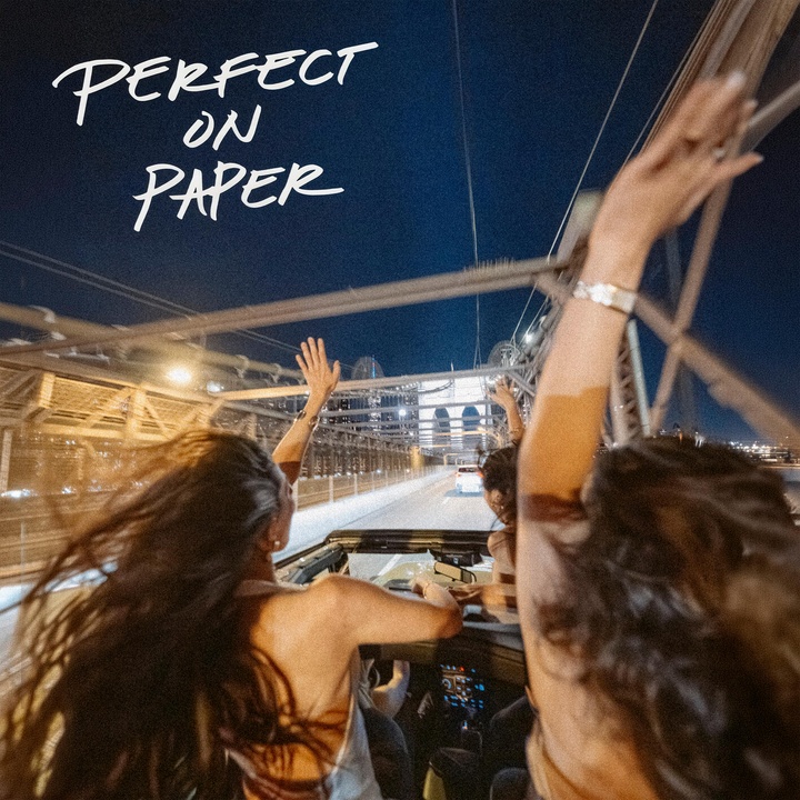 TWINSICK - Perfect On Paper | End Of An Era